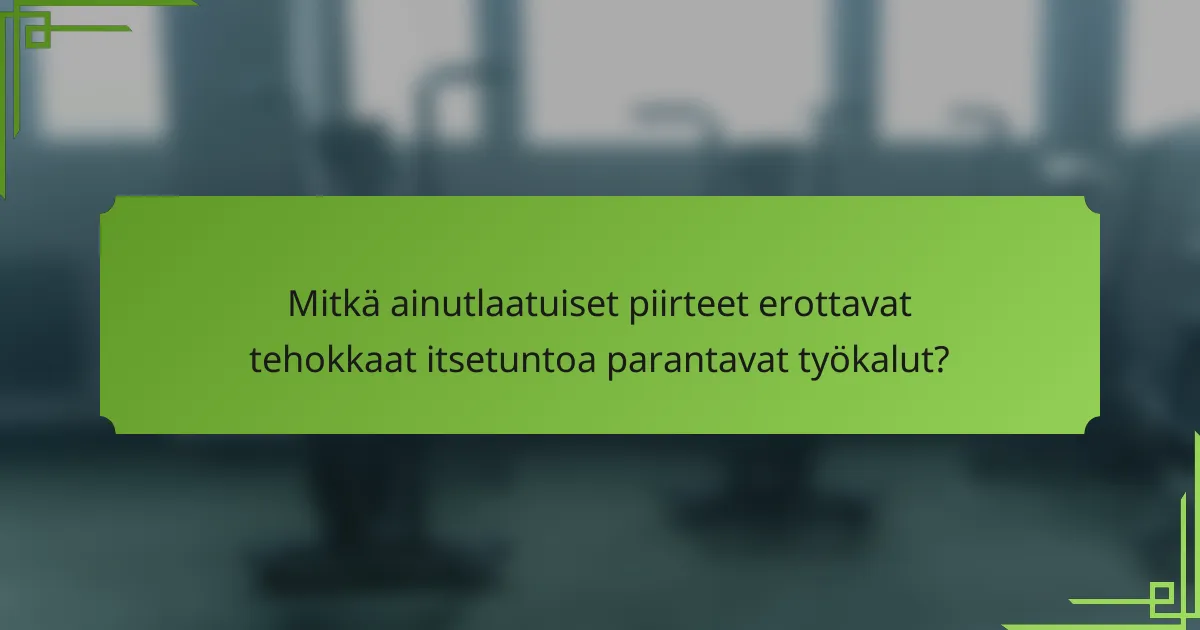 Mitkä ainutlaatuiset piirteet erottavat tehokkaat itsetuntoa parantavat työkalut?