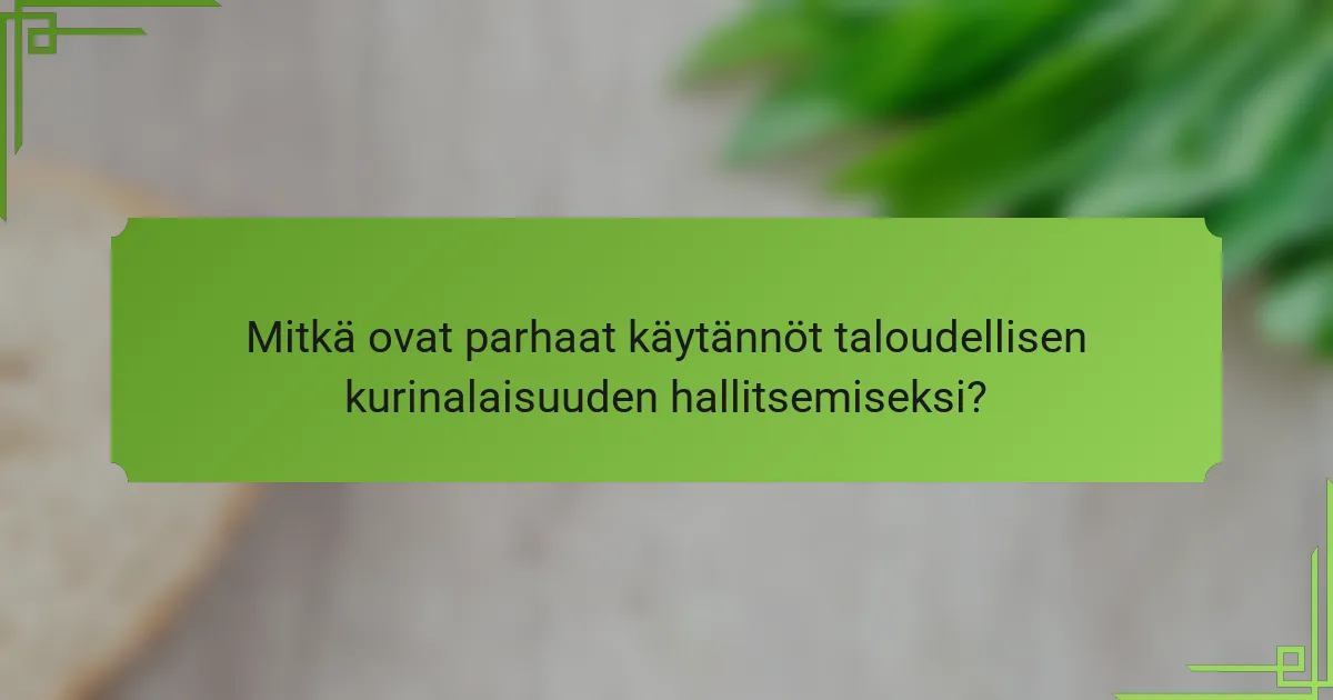 Mitkä ovat parhaat käytännöt taloudellisen kurinalaisuuden hallitsemiseksi?
